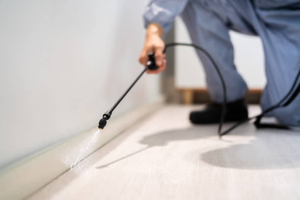 Licensed Fumigation Services service in Jacksboro, TX - Nex Pest Control
