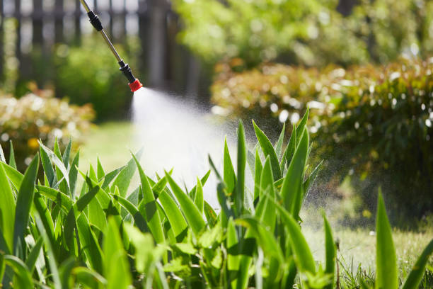 24/7 Emergency Fumigation Services experts in Jacksboro, TX