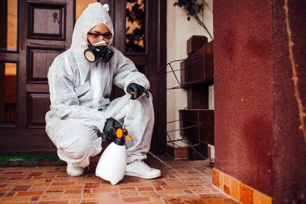 Reliable Fumigation Services contractor in Jacksboro, TX by Nex Pest Control