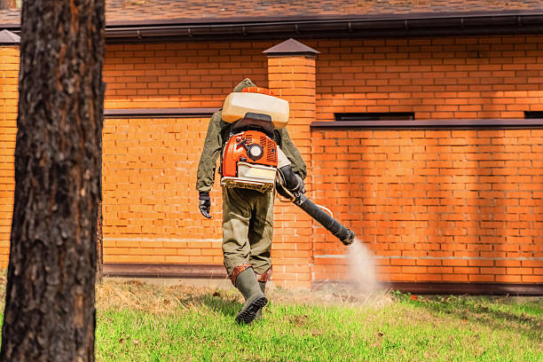 Trusted Termite Control service in Jacksboro, TX - Nex Pest Control